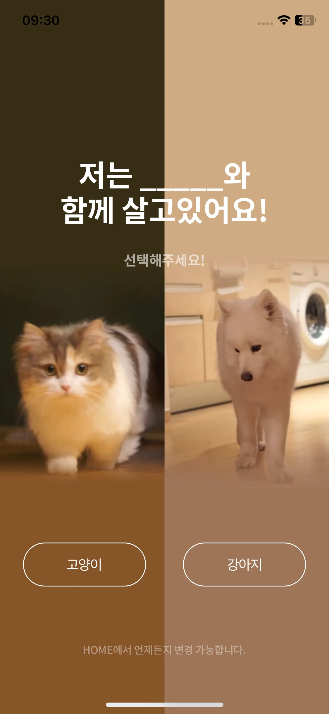 Test Image 1